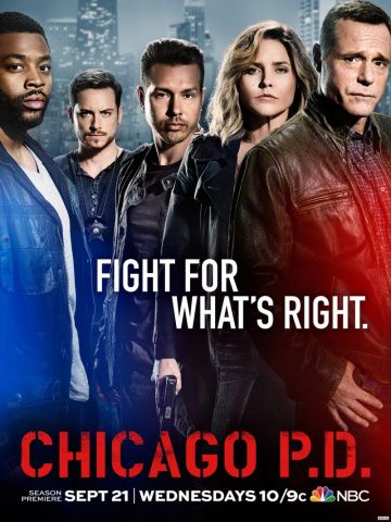 Полиция Чикаго 10 сезон 12 серия