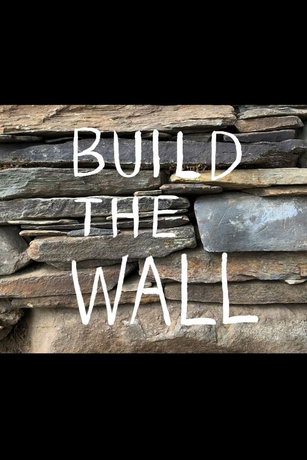 Построить стену (2020)