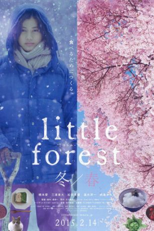 Небольшой лес: Зима и весна (2015)